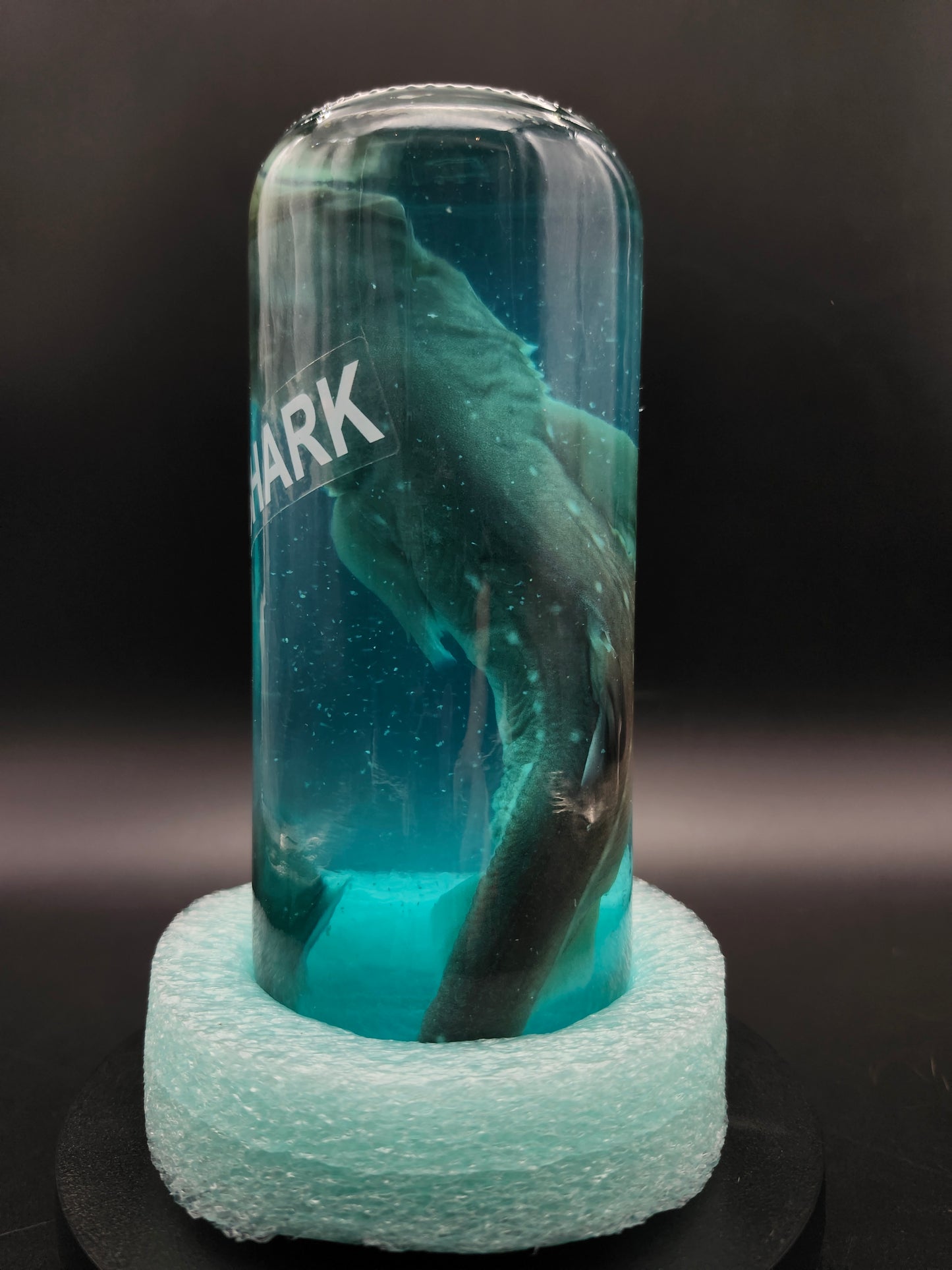 Shark (Wet Specimen)