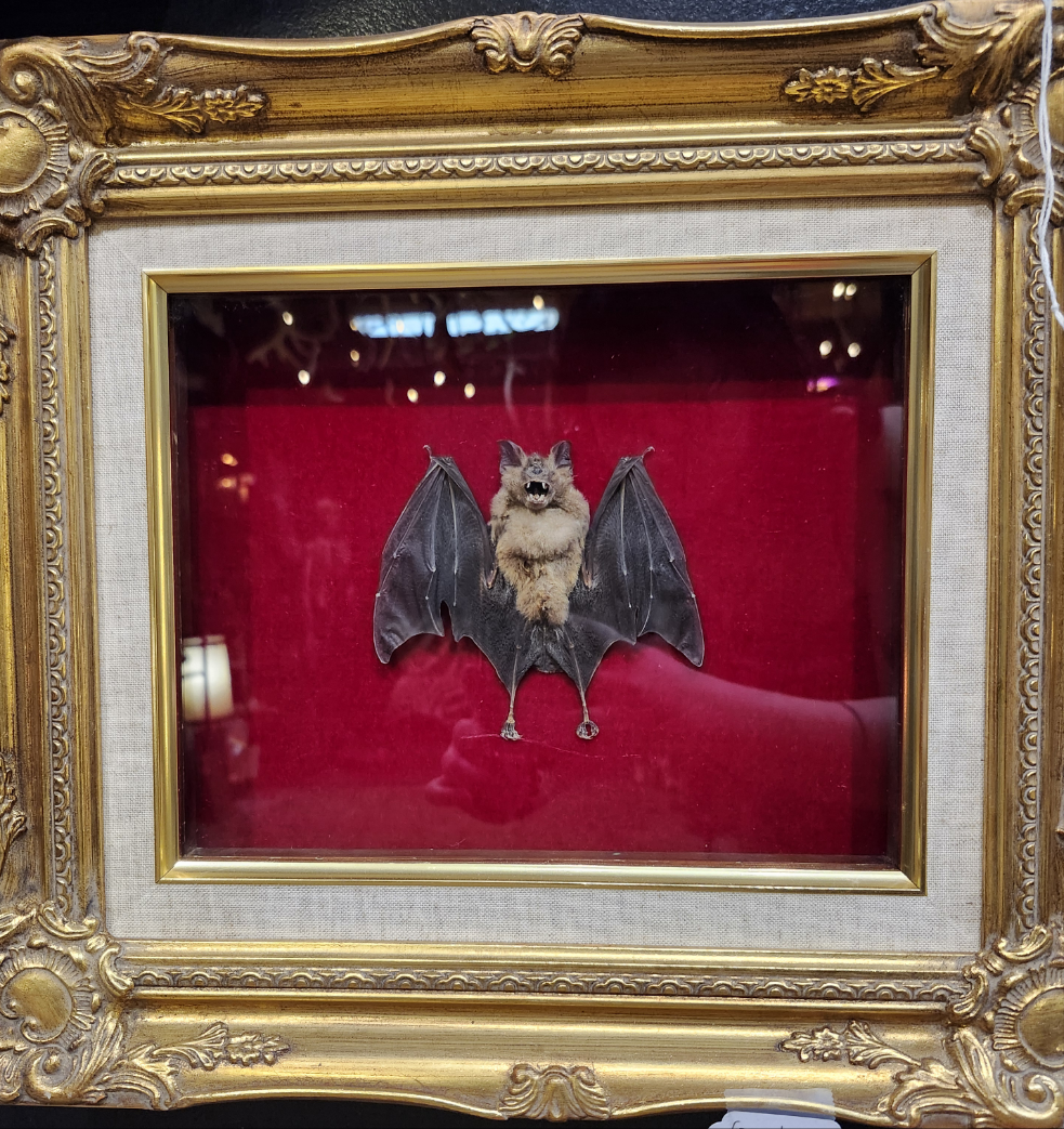 Framed Bat